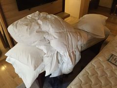 -天津津利华酒店