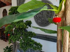 -呼吸森林·生态农庄农家乐私房菜