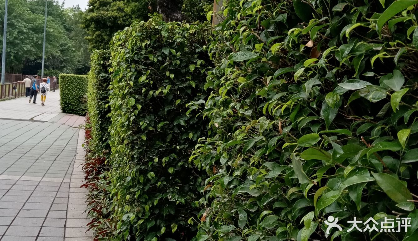 交通方便，也是广州地标之一，越秀公园