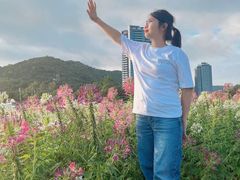 -玫瑰海岸文化旅游度假区