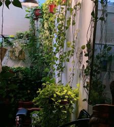 -新龙门刺青·纹身