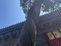 -关林