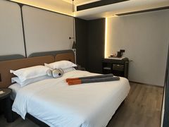 -朵兰达V酒店(成都春熙路太古里国金中心店)