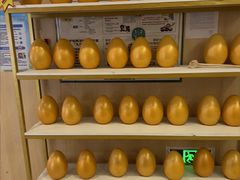 -合肥美奥口腔·种植矫正中心(政务院)