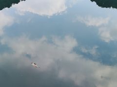 -千泷沟大瀑布旅游区