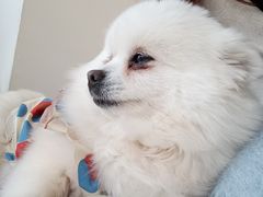 -怪兽屋·羊驼·猫咖·狗咖(俊华广场店)