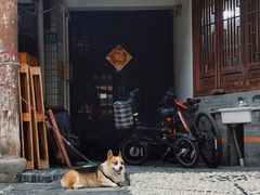 -三林塘老街