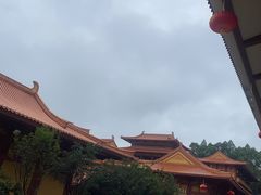 -三水森林公园
