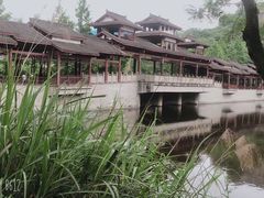 -重庆彩云湖湿地公园
