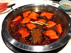 -孙毛肚火锅(春熙路店)