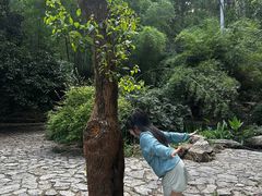 -潜山国家森林公园