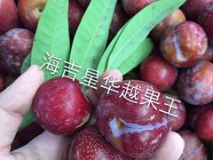 -海吉星市场