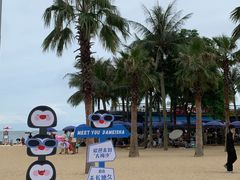 -大梅沙海滨公园