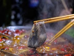 -白乐天毛肚火锅馆(南滨路店)