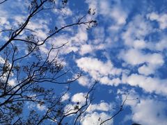 -浙江万里学院(钱湖校区)