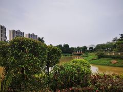 -美的鹭湖森林度假区