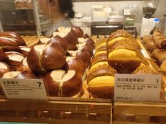 -WHEN PIGS FLY当猪飞