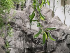 -江宁织造博物馆