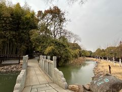 -八大山人梅湖景区