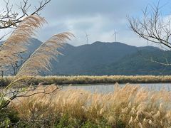 -盐洲岛