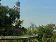 -广州雕塑公园
