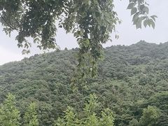 -秦岭终南山世界地质公园翠华山景区