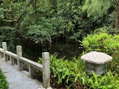-广州兰圃