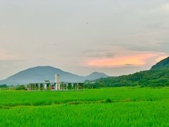 -艾米稻香小镇