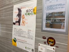 -瑞派名望志远动物医院·猫科·內科·异宠专科(直港大道店)
