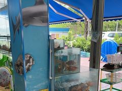 -小海豚•老字号海鲜餐厅(天涯店)