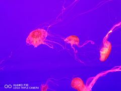 -多彩贵州城极地海洋世界