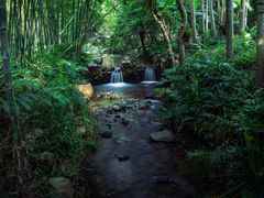 -深圳仙湖植物园-停车场