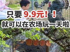 -前小桔亲子创意农场·草莓采摘·露营烧烤