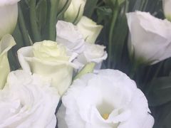 -怡花宜木鲜花店(朝阳路店)