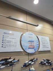 -重庆联合丽格第五医疗美容医院