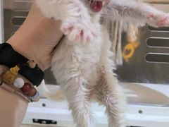 -平行世界·猫咖(首经贸店)