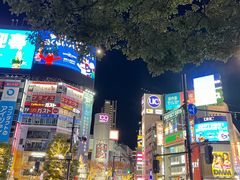 -涩谷区