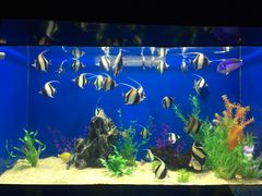 -烟台海昌鲸鲨海洋公园