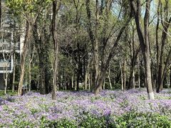 -浙江大学(紫金港校区)