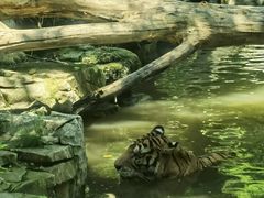 -北京野生动物园