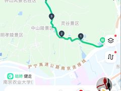 -紫金山山顶公园