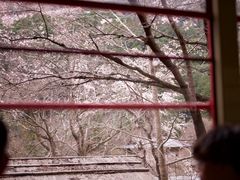 -岚山嵯峨野观光小火车