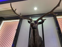 -宝乐星量贩KTV(莲升路店)