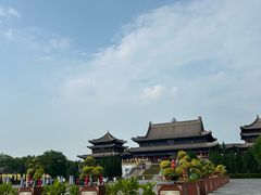 -大槐树寻根祭祖园