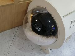 -喵园·猫主题咖啡厅·撸猫·猫咖(国贸店)