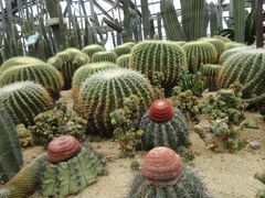 -华南国家植物园-售票处