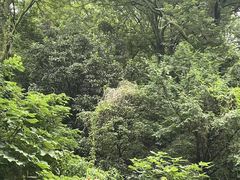 -狼山风景名胜区