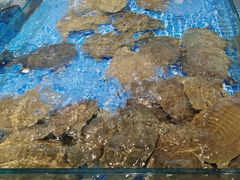 -江南婆婆(车墩店)