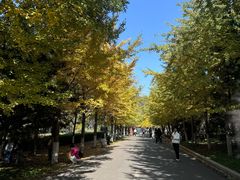 -长白岛森林公园