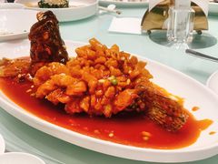 -新吉士·上海菜(浦东LCM置汇旭辉店)